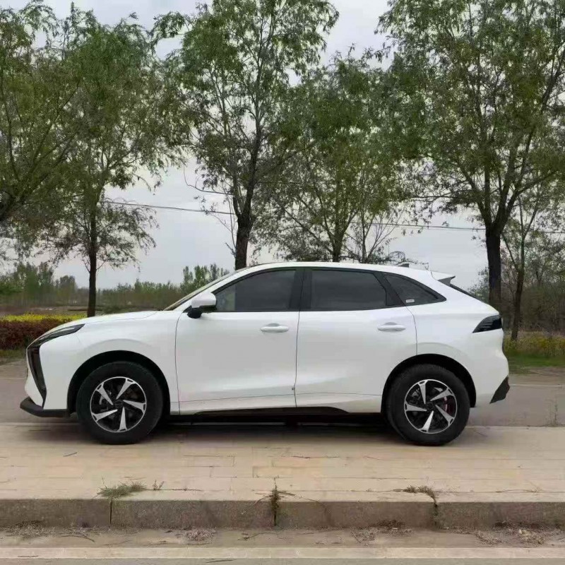 潍坊24年东风风行8