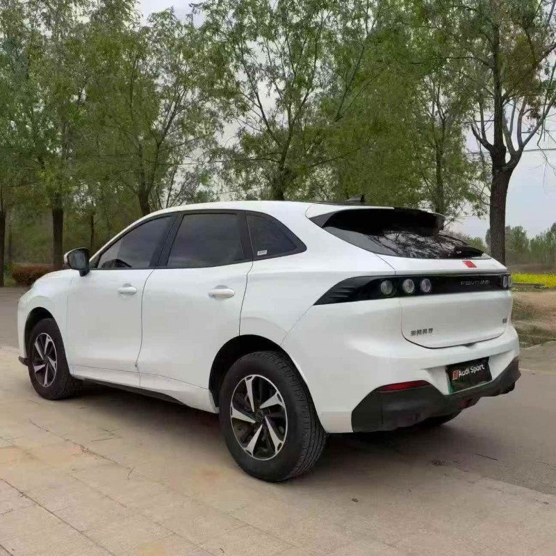 潍坊24年东风风行9