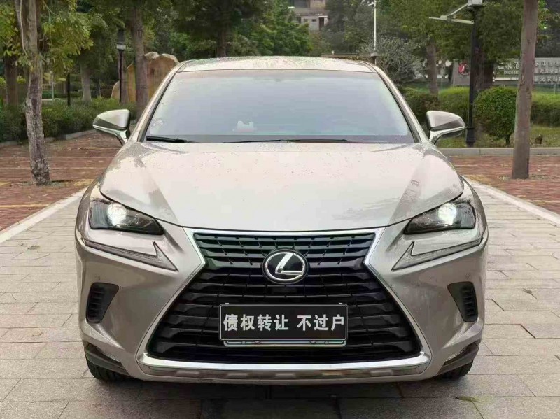 江门19年雷克萨斯NX1
