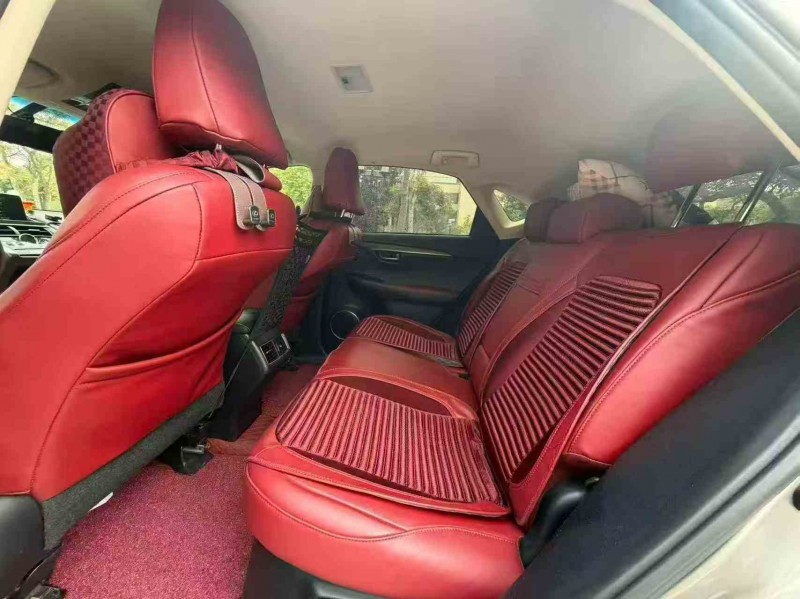 江门19年雷克萨斯NX6