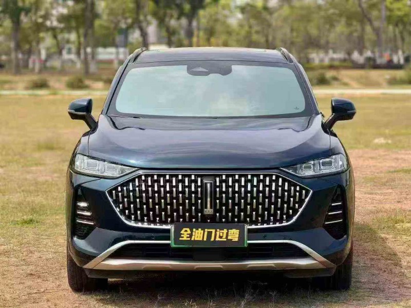 湛江22年长城汽车魏牌1