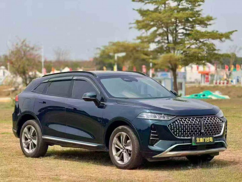 湛江22年长城汽车魏牌3