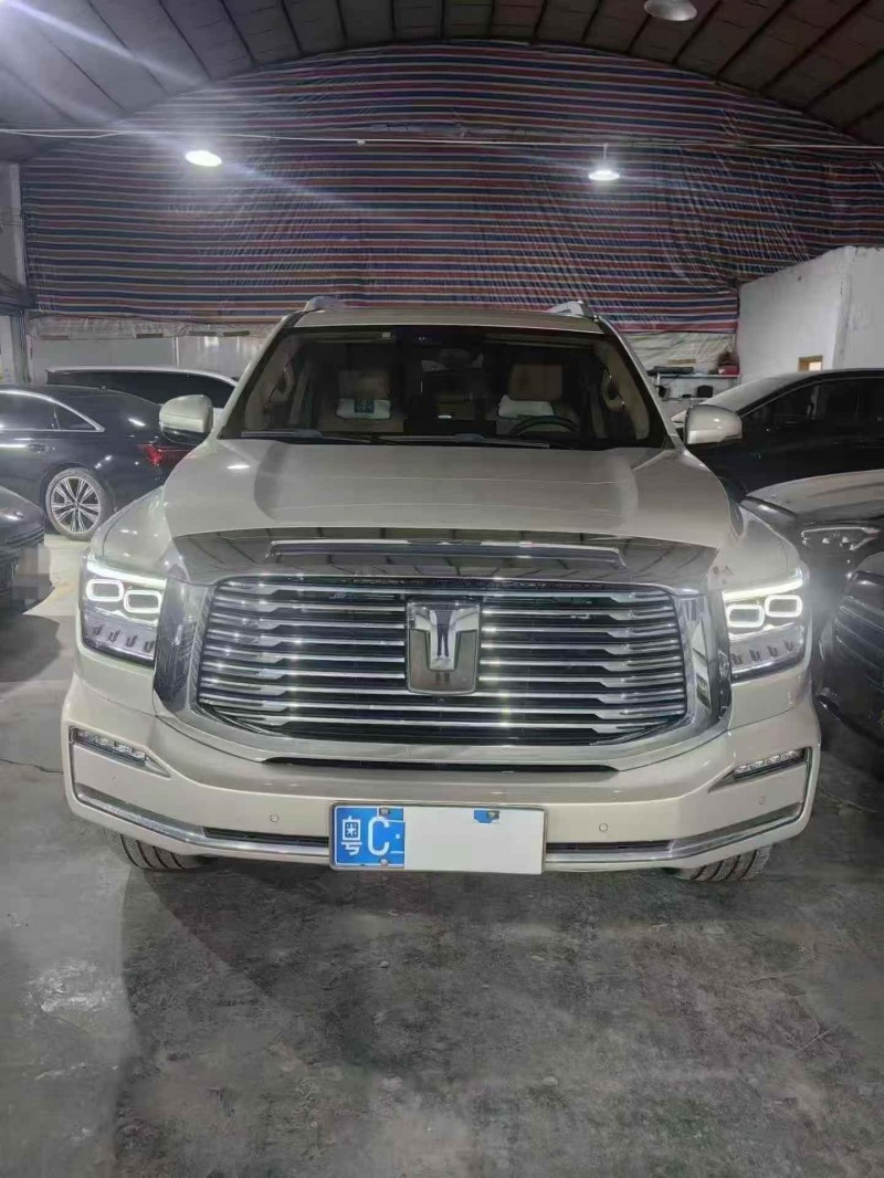 佛山23年长城汽车坦克1