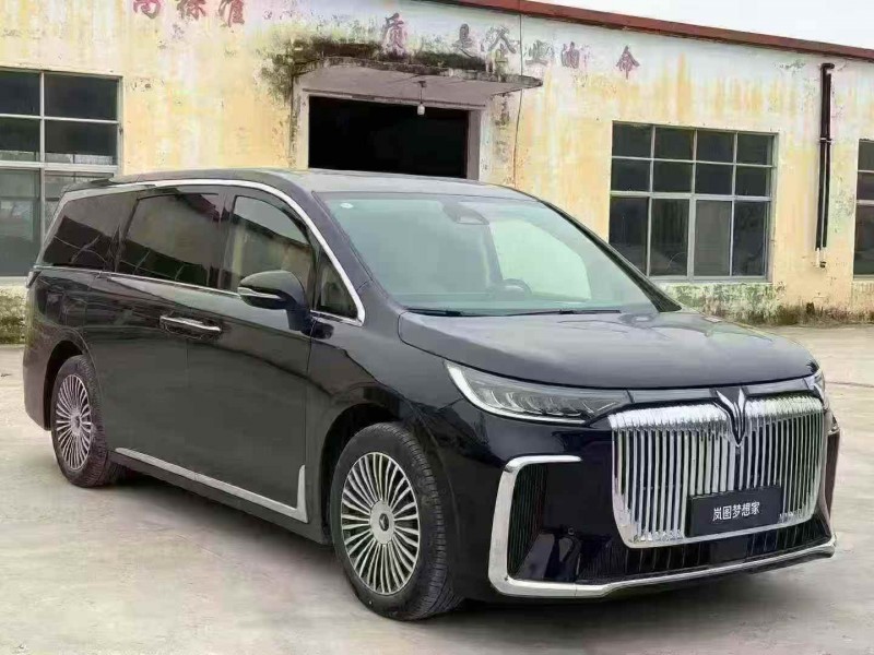 菏泽26年岚图汽车梦想家3