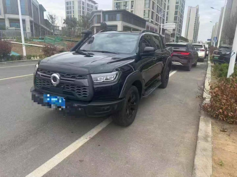 潍坊25年长城汽车炮 皮卡2