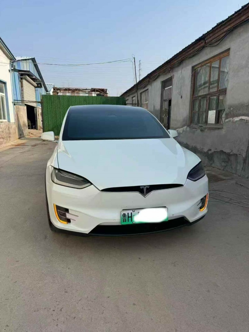 济宁18年特斯拉MODEL X1