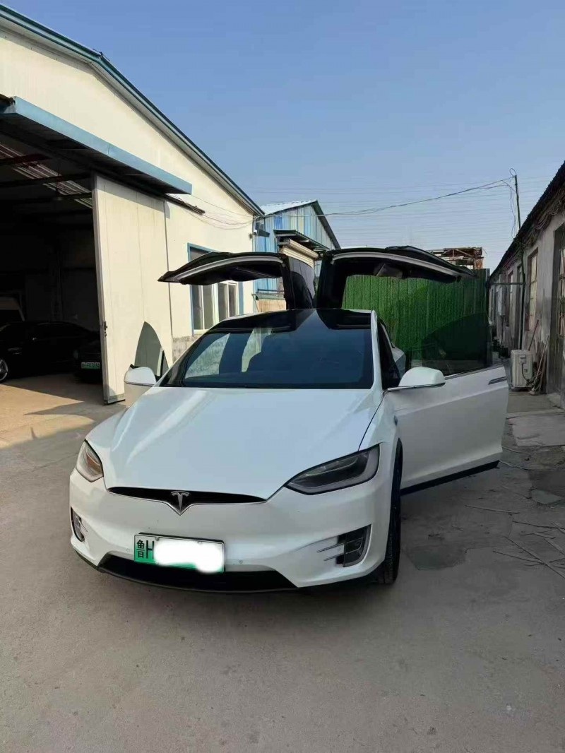 济宁18年特斯拉MODEL X3