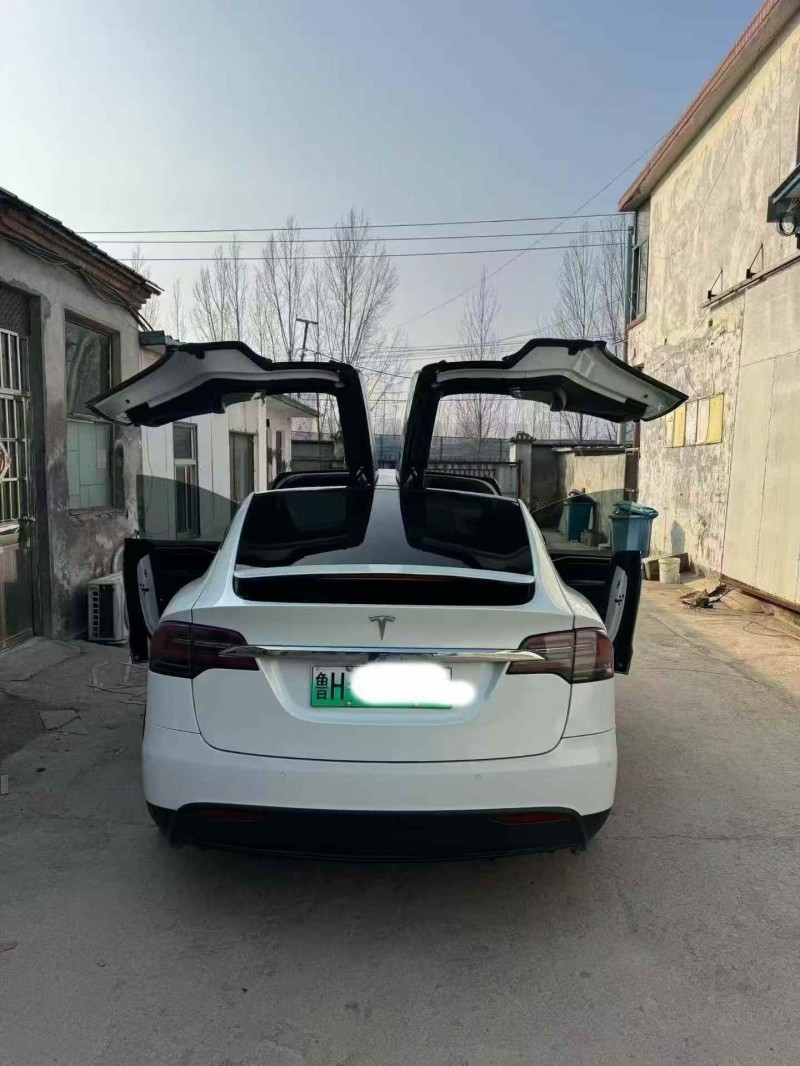 济宁18年特斯拉MODEL X9