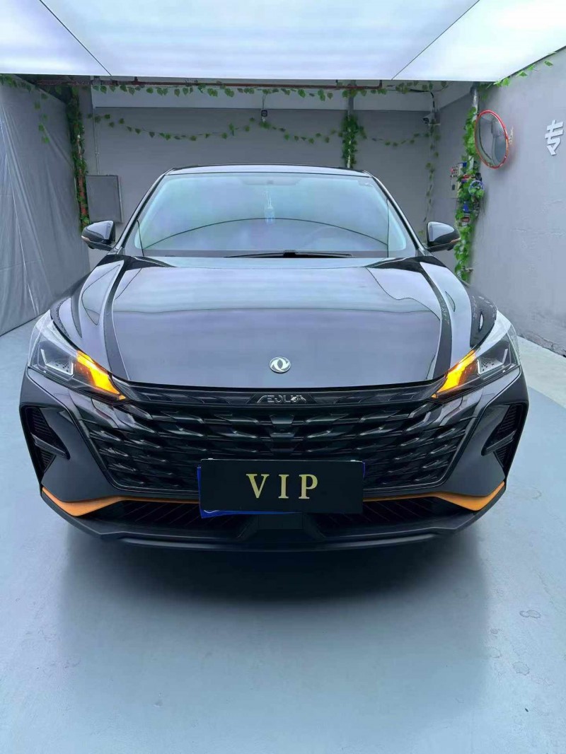 惠州23年东风奕炫1