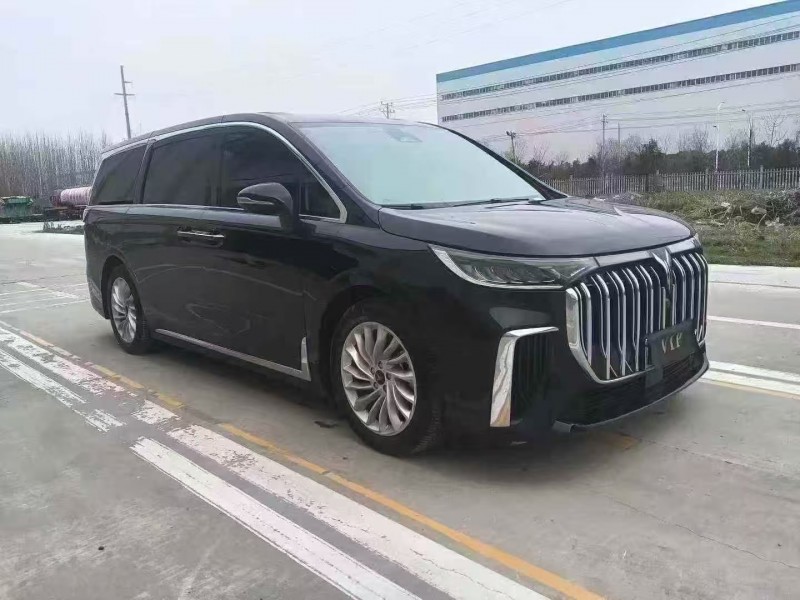 菏泽24年岚图汽车梦想家2