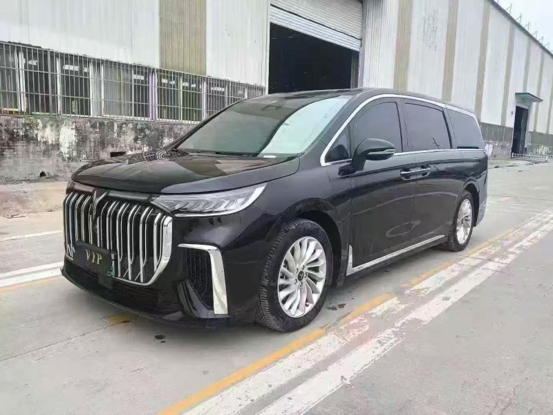 菏泽24年岚图汽车梦想家3