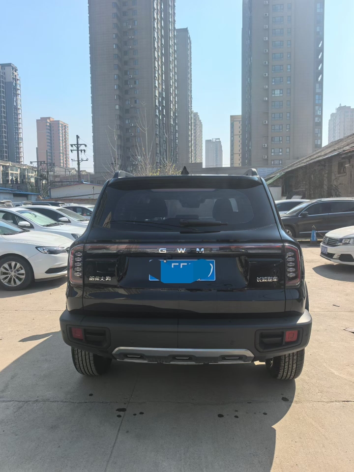 郑州26年哈弗大狗9