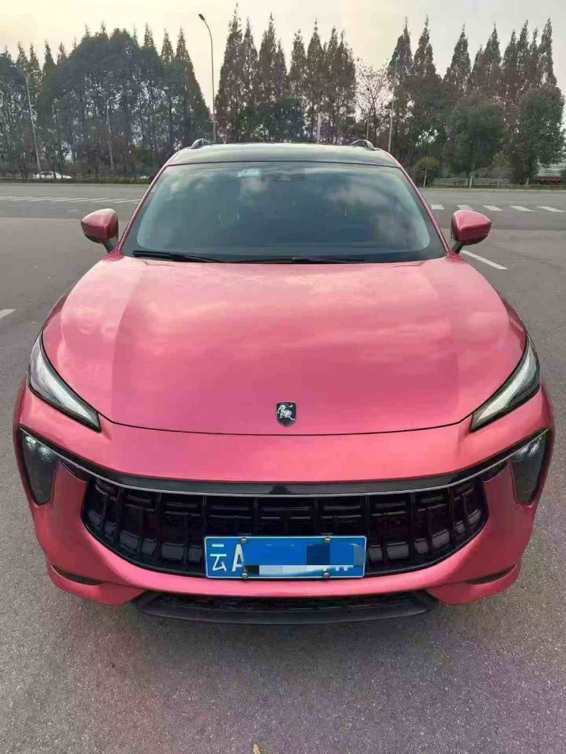 德阳21年东风风行1