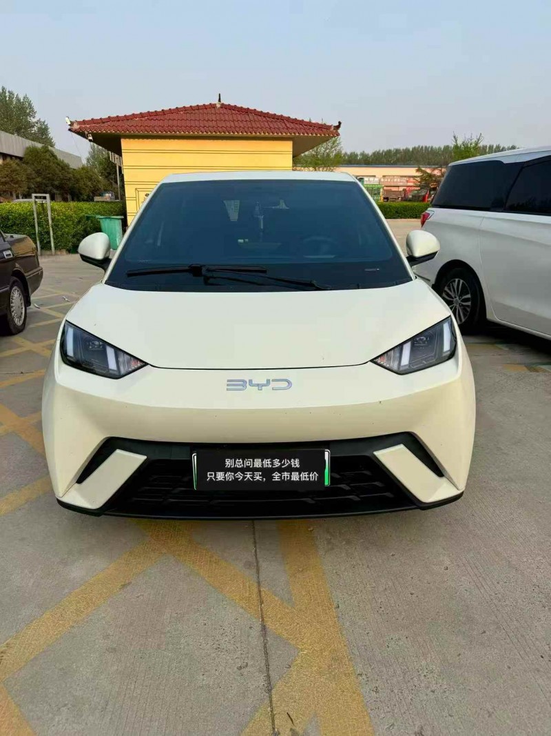 聊城24年比亚迪海鸥1