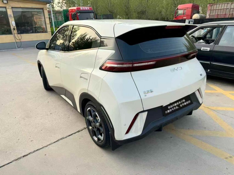 聊城24年比亚迪海鸥5