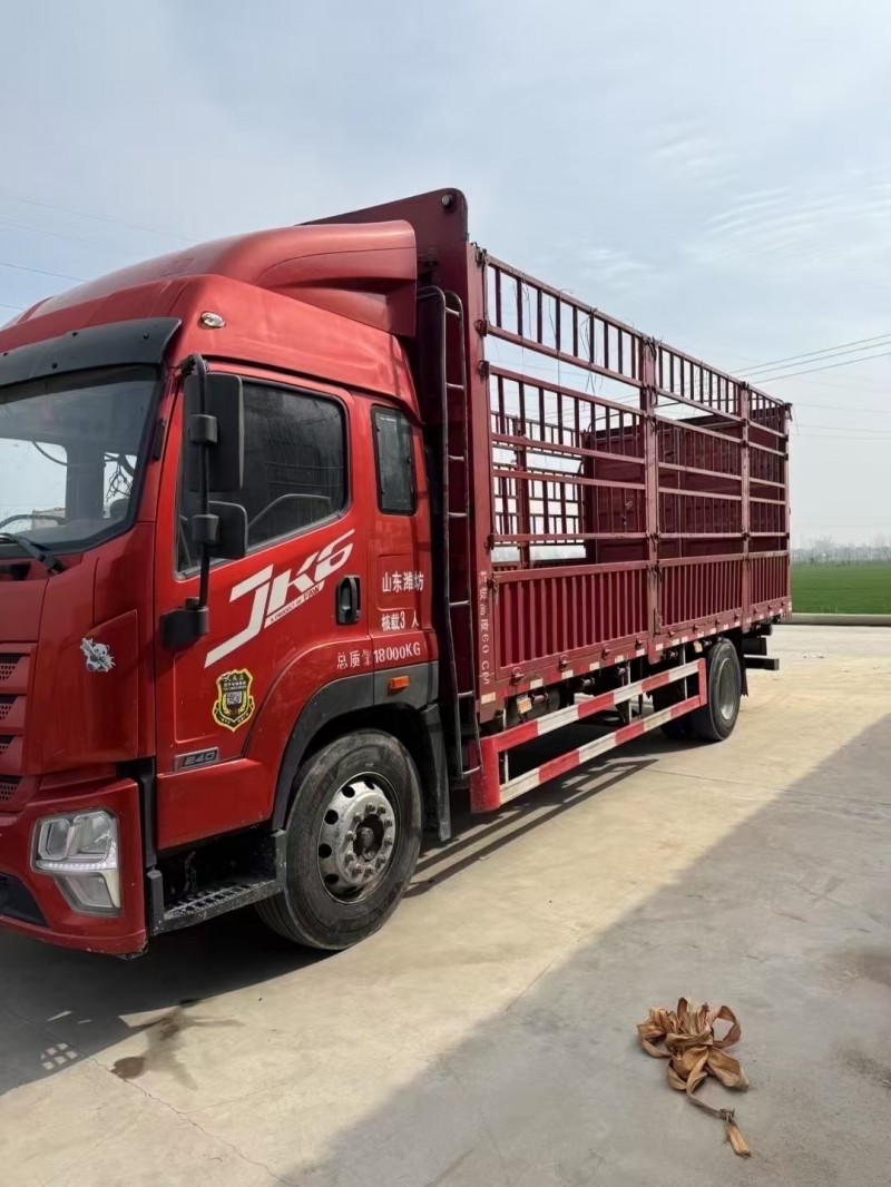 菏泽22年解放解放卡车2