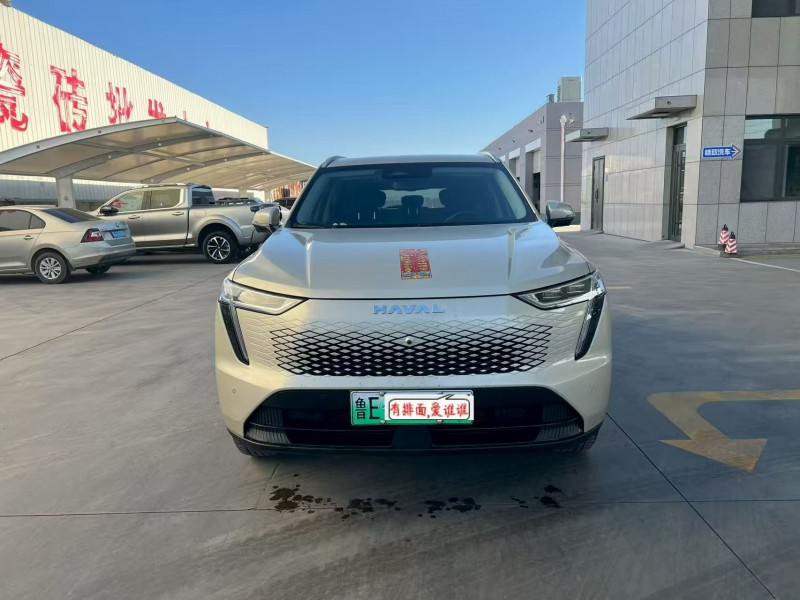 沧州24年哈弗枭龙1