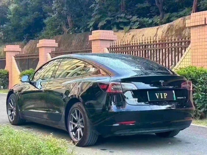 东莞23年特斯拉MODEL 36