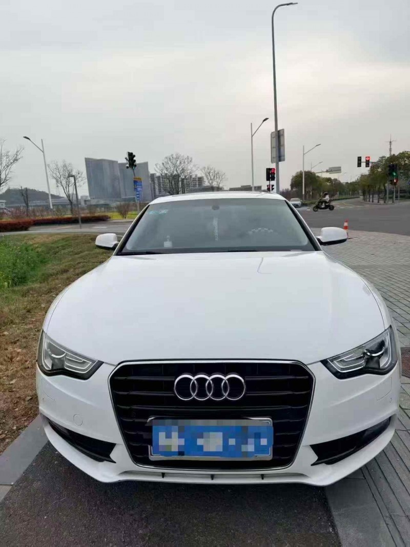 嘉兴15年奥迪A51