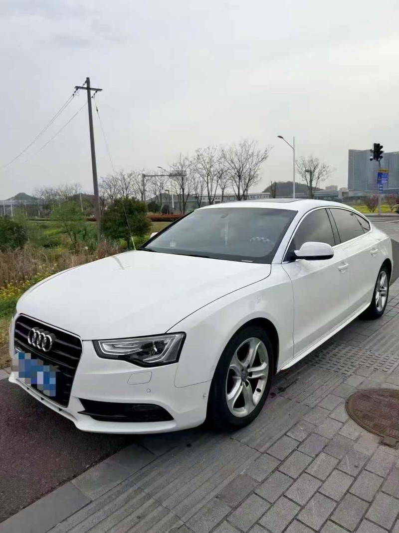 嘉兴15年奥迪A52