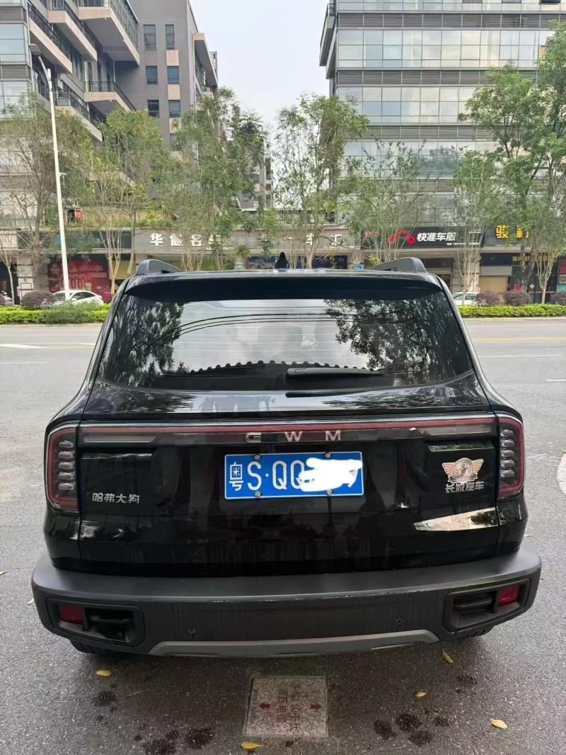 广州25年哈弗大狗8