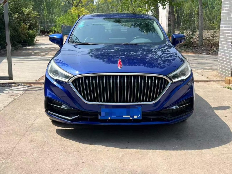 东营19年红旗H51