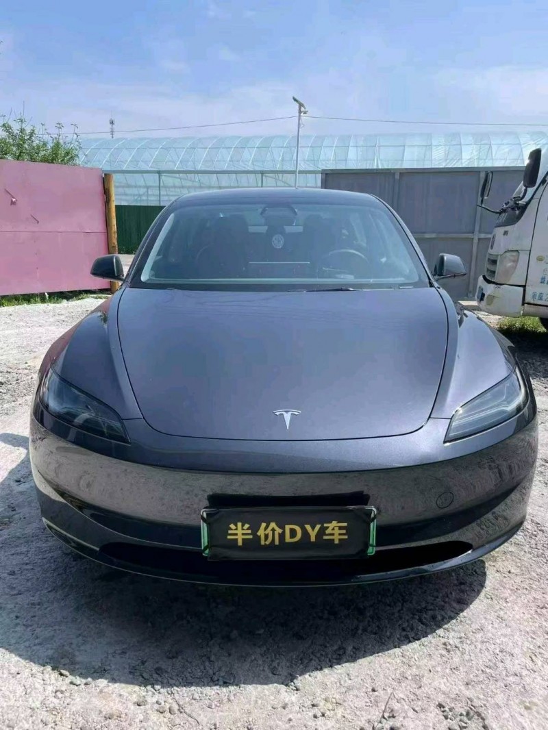 潍坊25年特斯拉MODEL 31