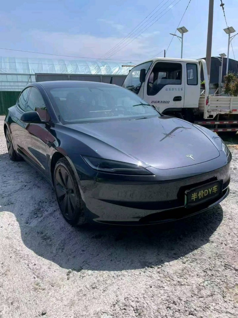 潍坊25年特斯拉MODEL 33