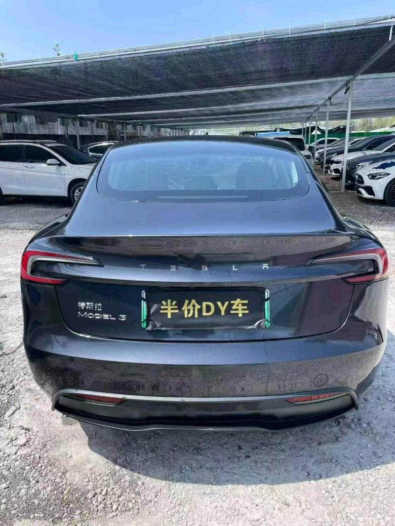 潍坊25年特斯拉MODEL 38