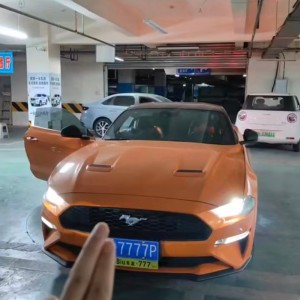 成都22年福特野马