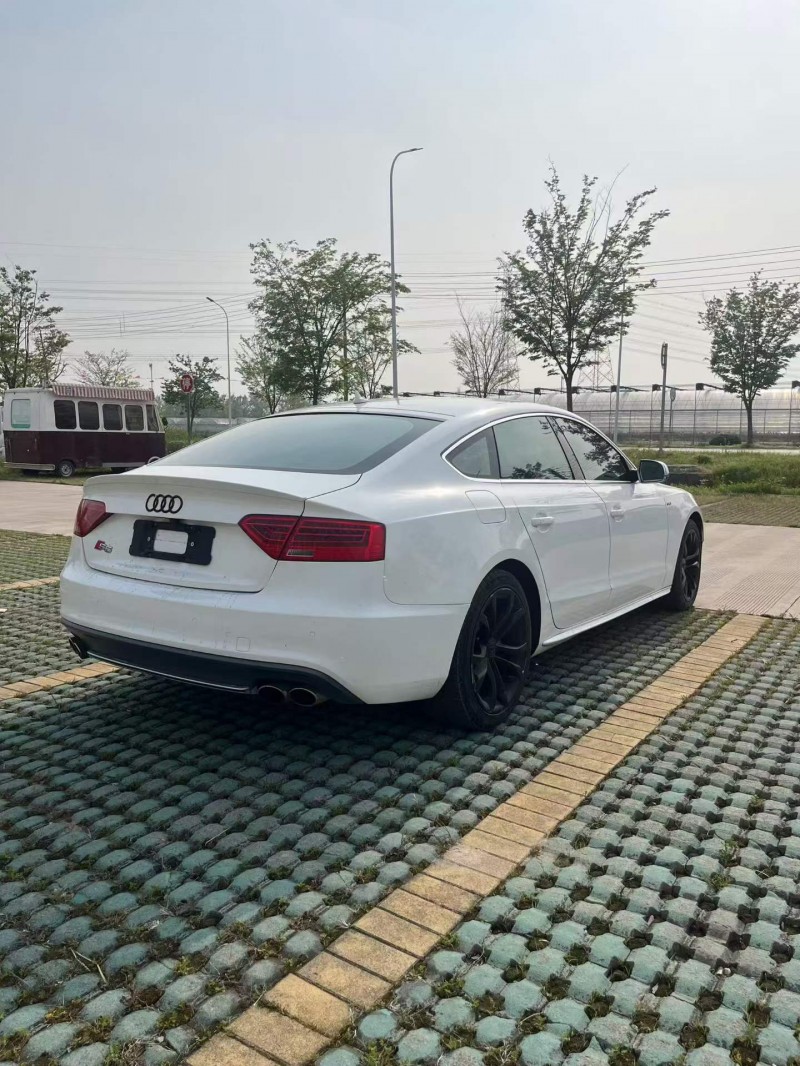 徐州14年奥迪S58