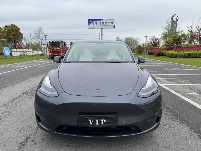 盐城22年特斯拉MODEL Y1