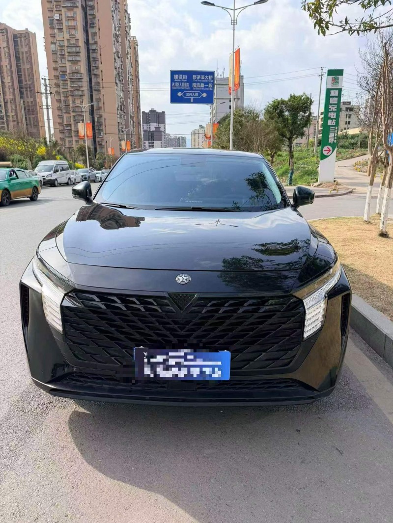 雅安24年启辰大V1