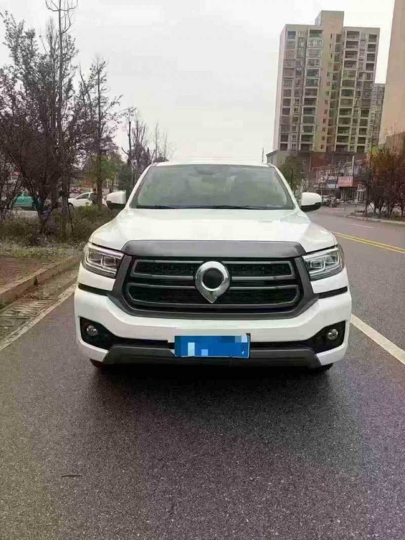 邵阳23年长城汽车炮 皮卡1