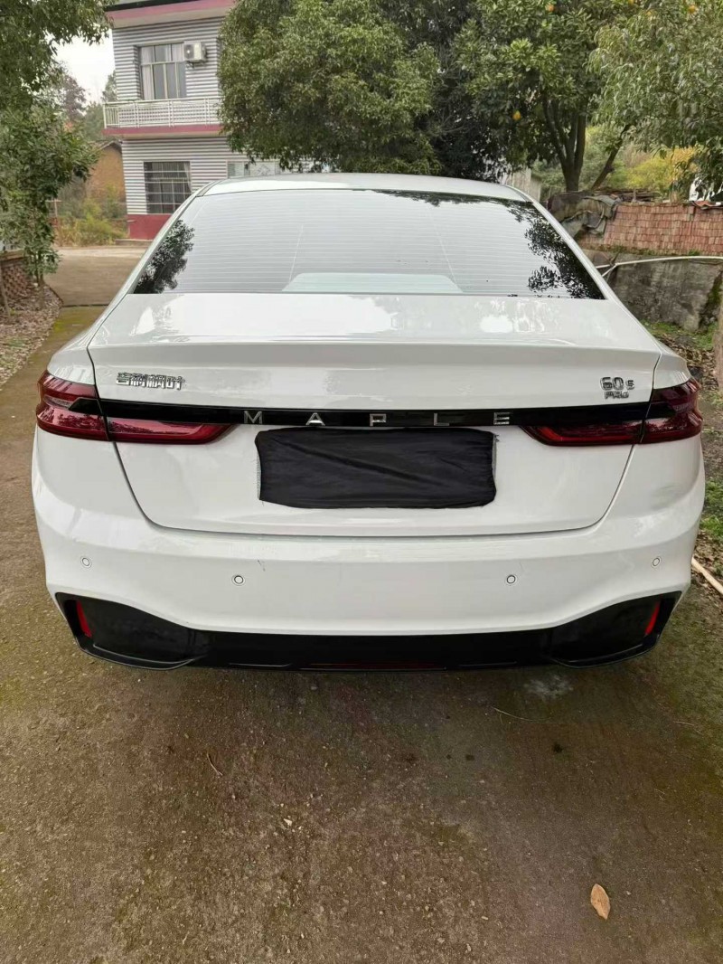 萍乡23年吉利枫叶5