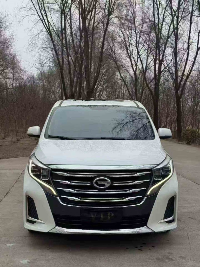 潍坊20年传祺M8/GM81