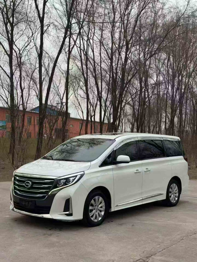 潍坊20年传祺M8/GM82