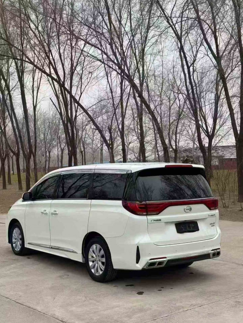 潍坊20年传祺M8/GM87