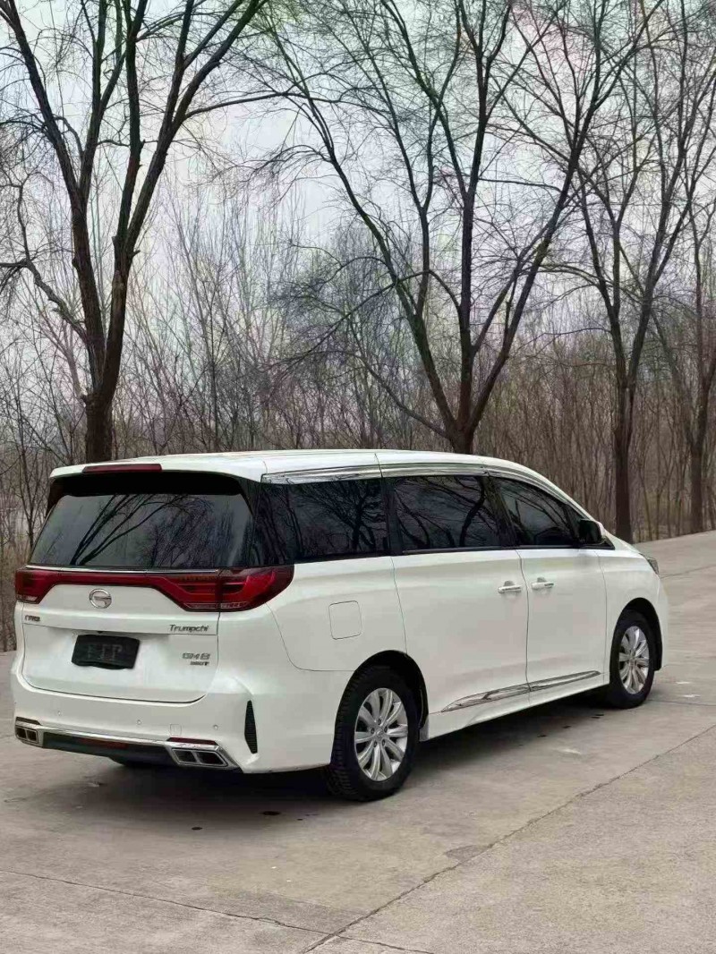 潍坊20年传祺M8/GM88