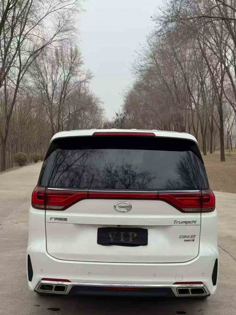 潍坊20年传祺M8/GM89