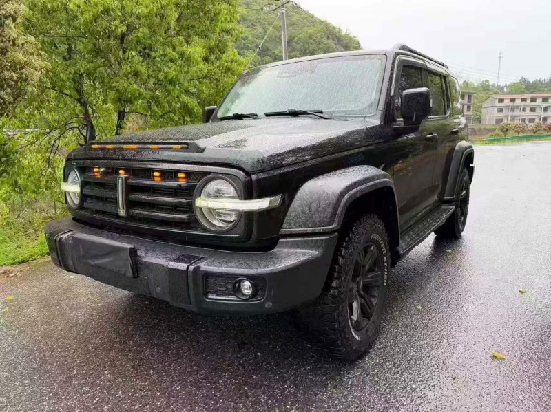 九江21年长城汽车坦克2