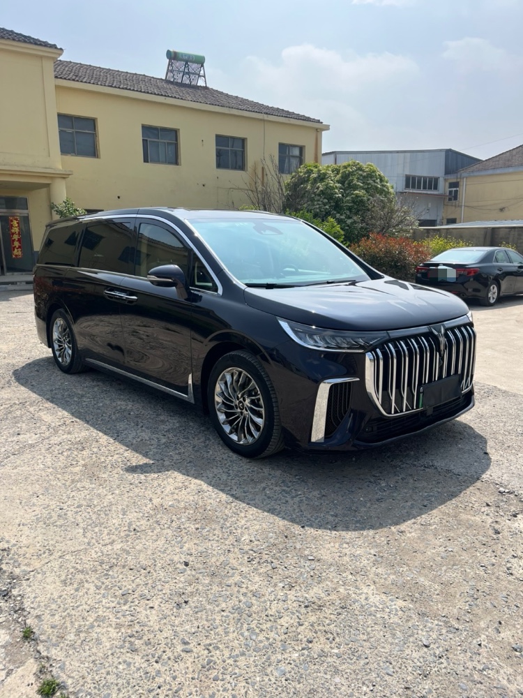 宿州23年岚图汽车梦想家2