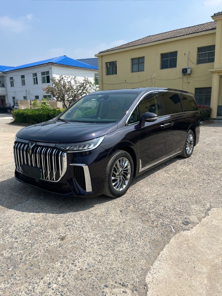 宿州23年岚图汽车梦想家3