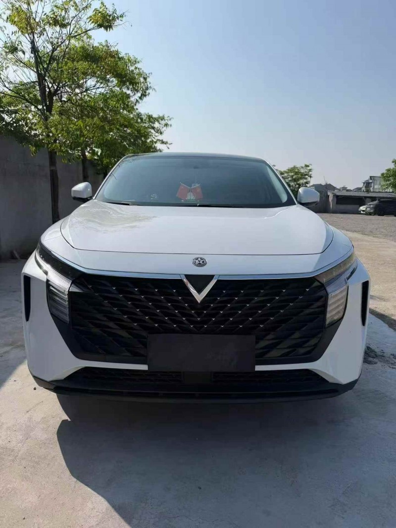 金华23年启辰大V1