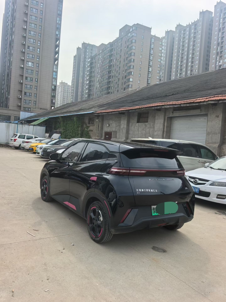 三门峡24年比亚迪海鸥9