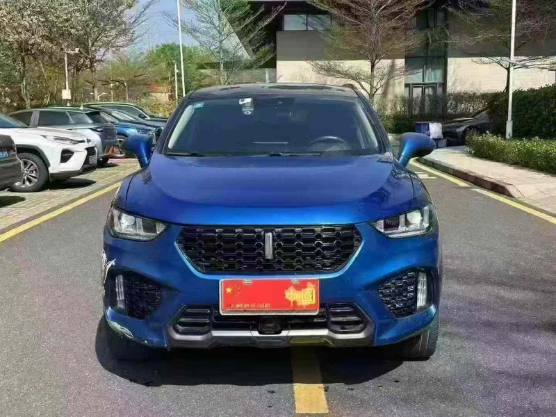 广州18年长城汽车WEY1