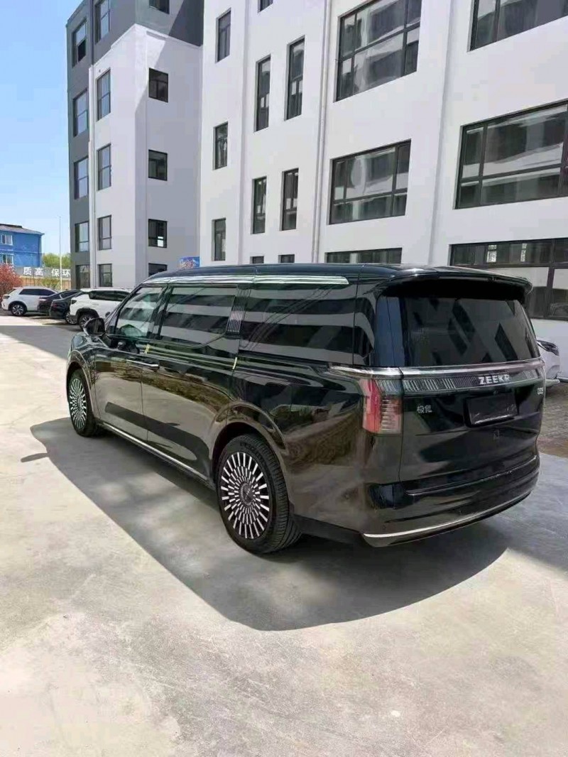 枣庄24年极氪汽车0099
