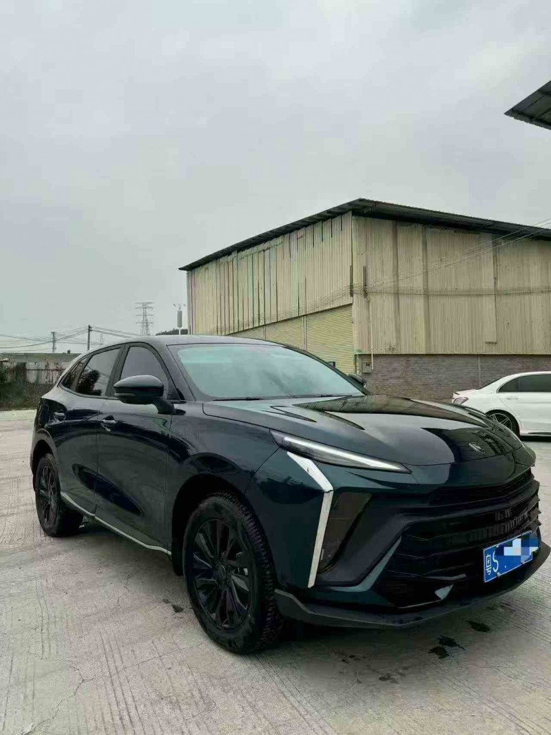 湛江23年东风风行1