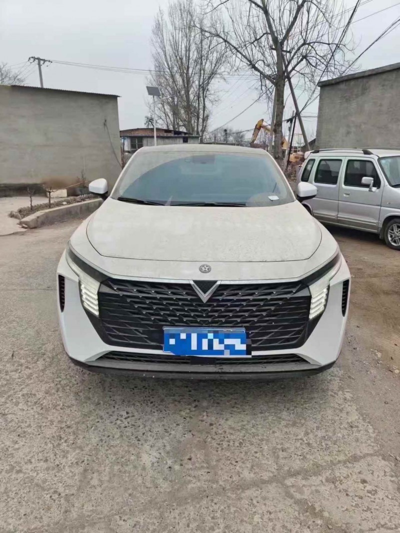 保定22年启辰大V1