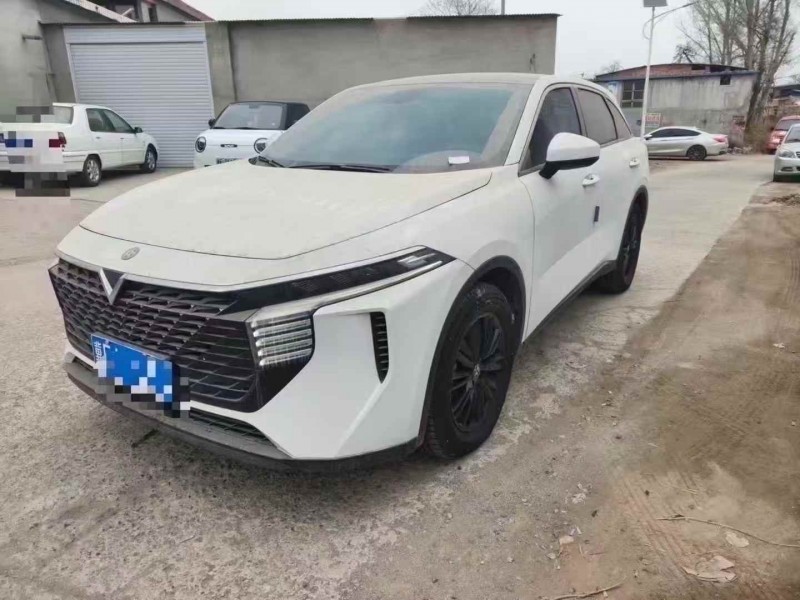 保定22年启辰大V3